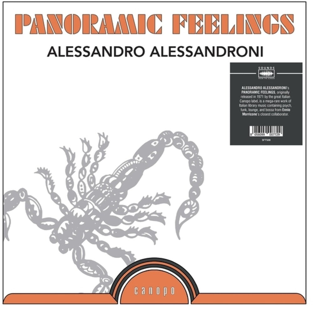 the album cover for Alessandro Alessandroni - Panoramic Feelings