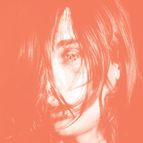the album cover for Deerhunter - Microcastle