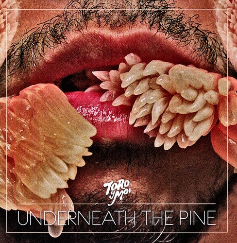 the album cover for Toro Y Moi - Underneath the Pine