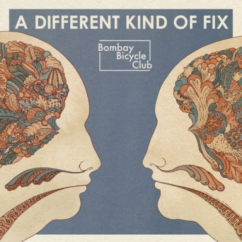 the album cover for Bombay Bicycle Club - Different Kind of Fix
