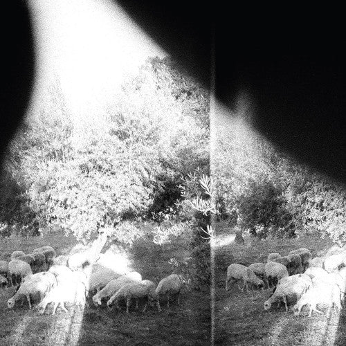 the album cover for Godspeed You! Black Emperor - Asunder, Sweet And Other Distress [Vinyl]