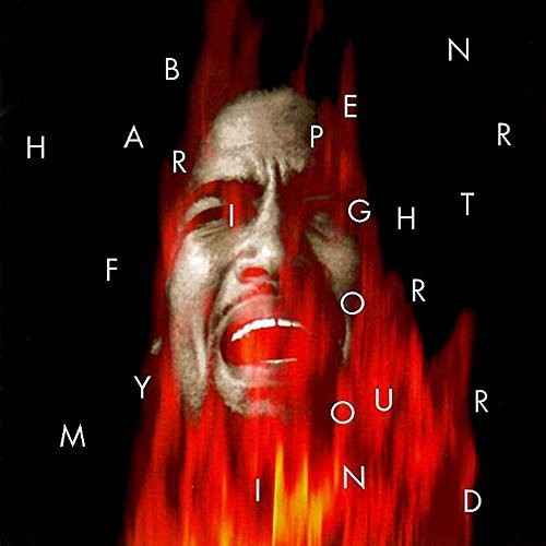 the album cover for Ben Harper - Fight For Your Mind [LP]