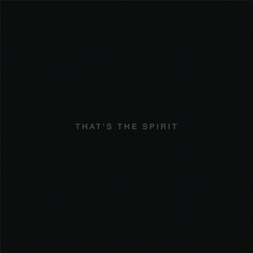 the album cover for Bring Me The Horizon - That's The Spirit [Vinyl]