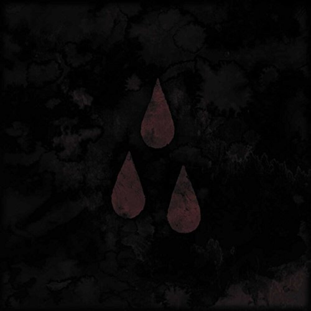 the album cover for AFI - AFI: The Blood Album [LP]