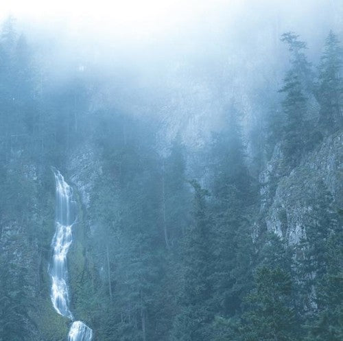 the album cover for Wolves In The Throne Room - Diadem Of 12 Stars