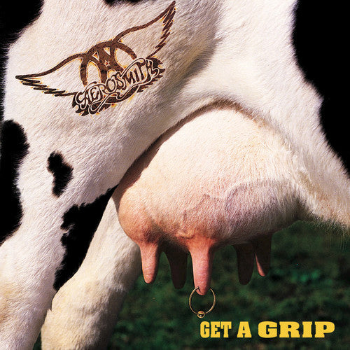 the album cover for Aerosmith - Get A Grip [2LP]