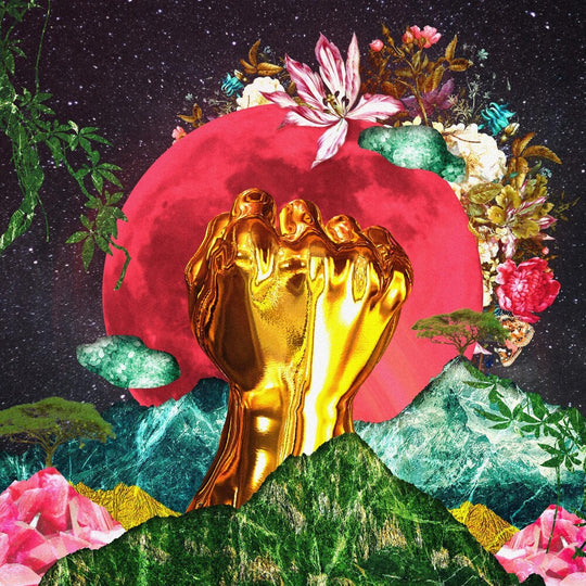 the album cover for Rina Mushonga - In A Galaxy [LP]