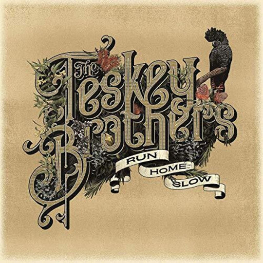the album cover for The Teskey Brothers - Run Home Slow [Import LP]