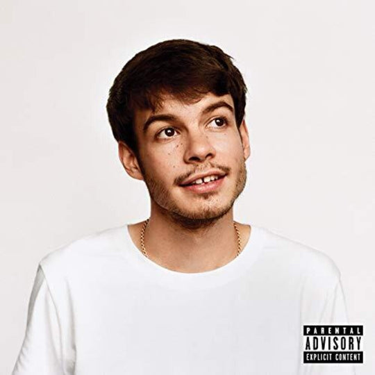 the album cover for Rex Orange County - Pony [LP]