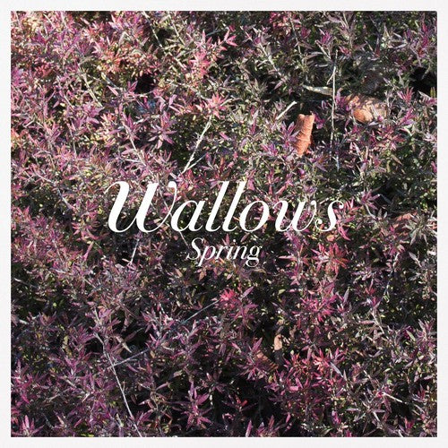 the album cover for Wallows - Spring EP [Pink & Green Vinyl]
