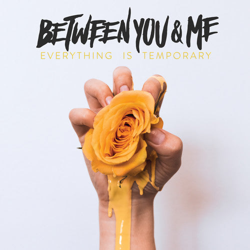 the album cover for Between You & Me - Everything Is Temporary [Download Included]