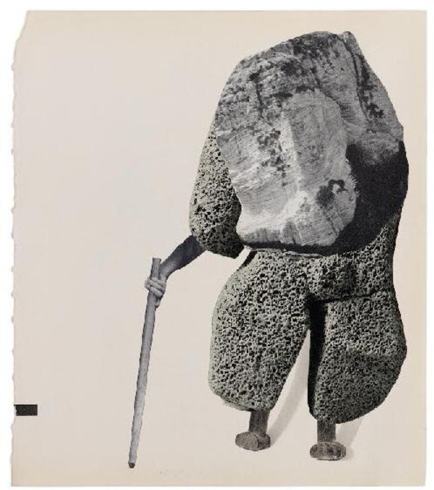 the album cover for Golden Retriever / Chuck Johnson - Rain Shadow [Clear Vinyl] [Limited Edition] [Indie Exclusive]