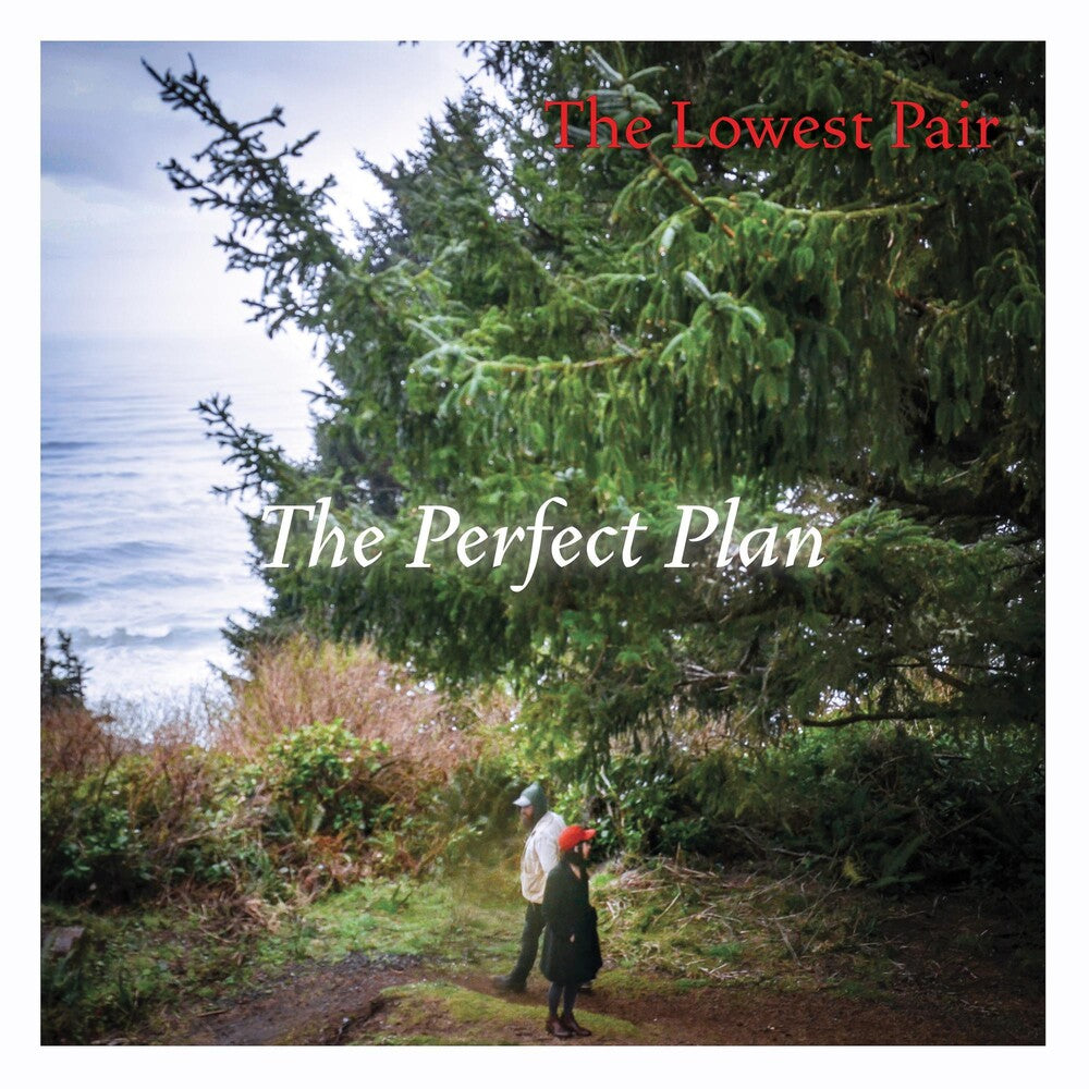 the album cover for The Lowest Pair - The Perfect Plan [LP]