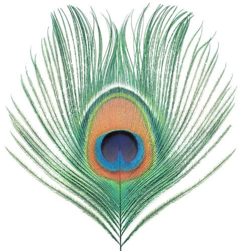 the album cover for Xtc - Apple Venus Vol 1