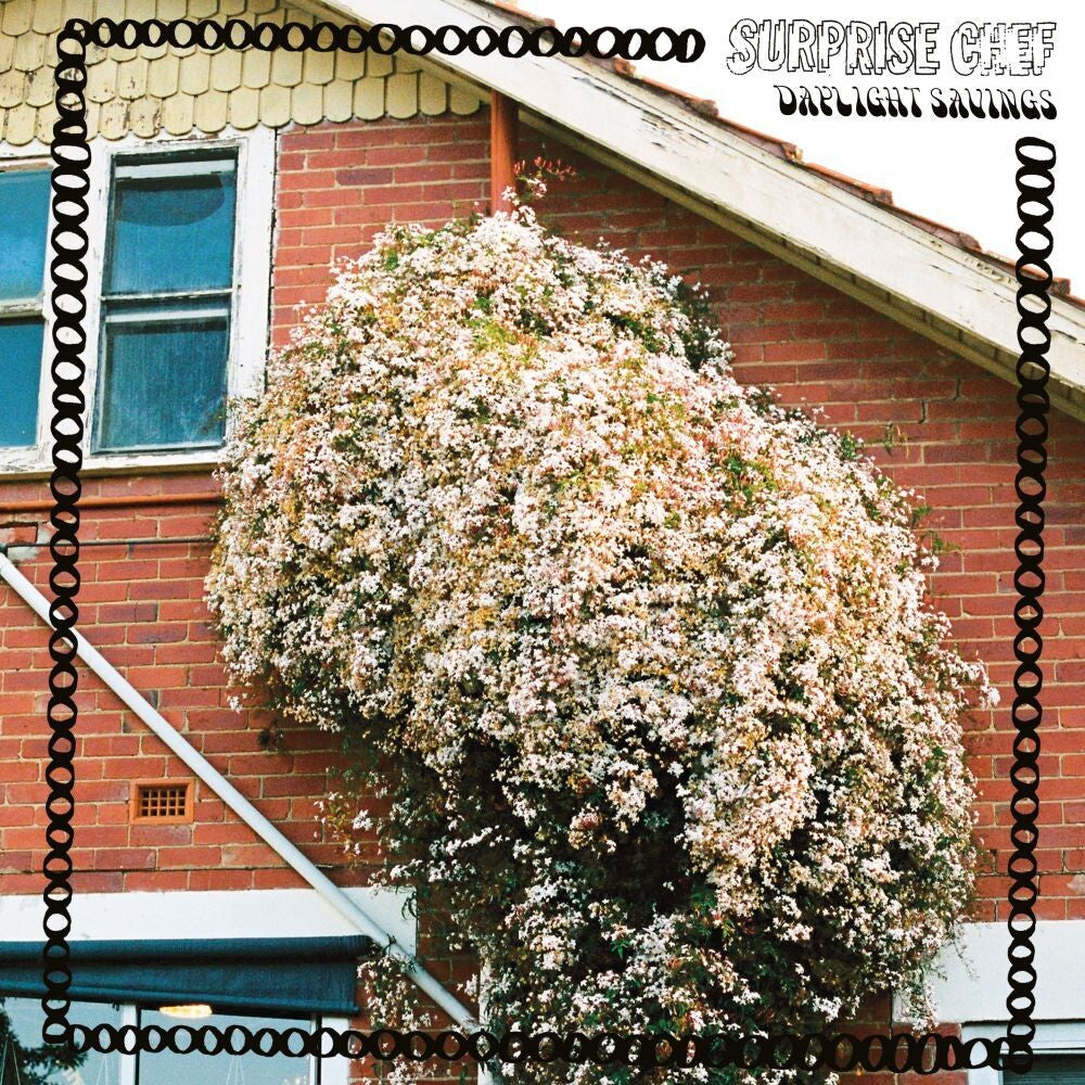 the album cover for Surprise Chef - Daylight Savings