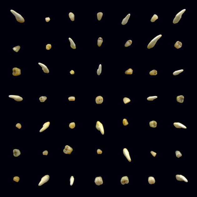 the album cover for clipping. - Visions of Bodies Being Burned [2LP]