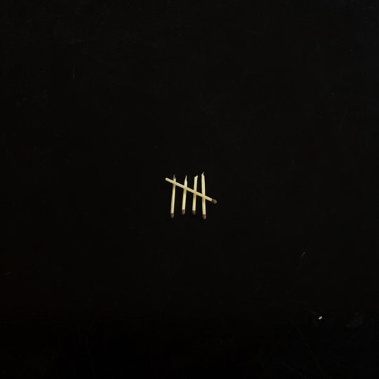 the album cover for Sault - Sault 5 [Import LP]