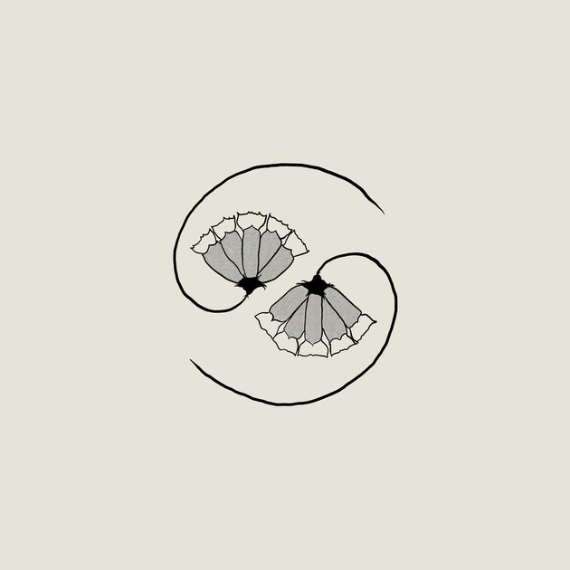 the album cover for Godspeed You! Black Emperor - G_D's Pee At State's End! [180 gram LP + 10in]