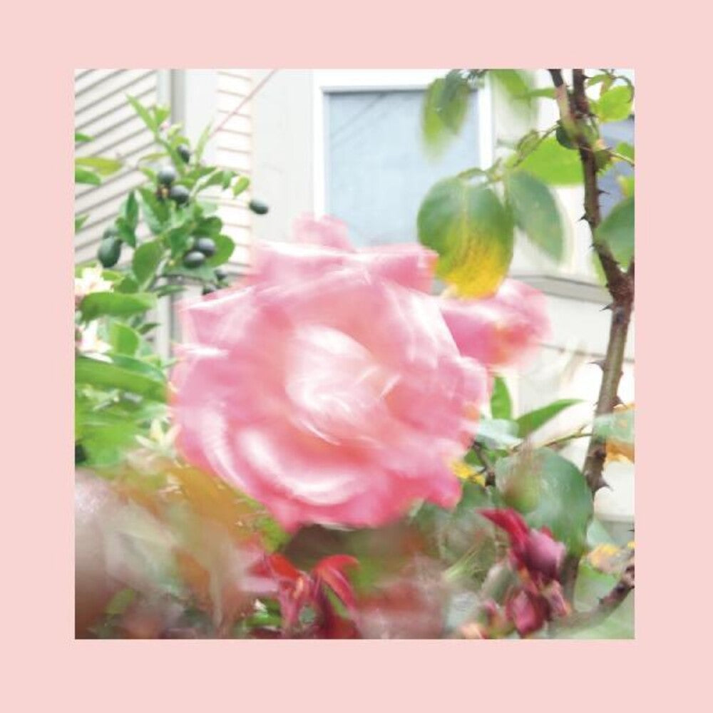 the album cover for The Reds, Pinks and Purples - Summer At Land's End [Indie Exclusive Limited Edition Yellow 2LP]