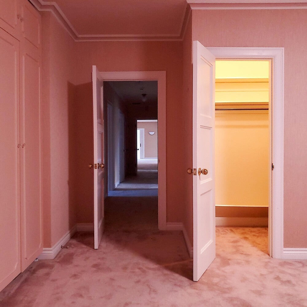 the album cover for Empath - Visitor [Indie Exclusive Limited Edition Bone LP]