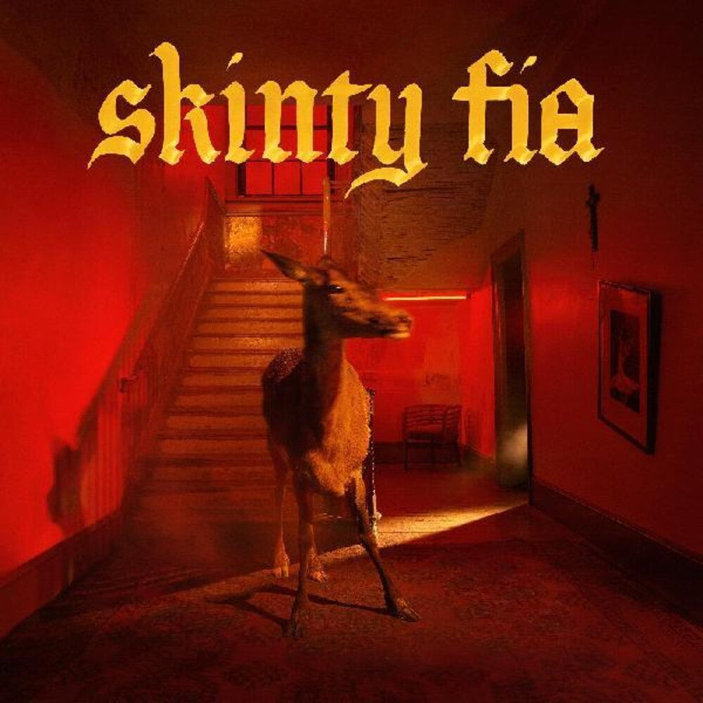 the album cover for Fontaines D.C. - Skinty Fia [LP]