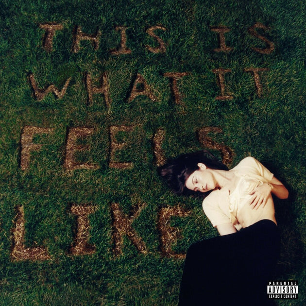 the album cover for Gracie Abrams - This Is What It Feels Like [LP]