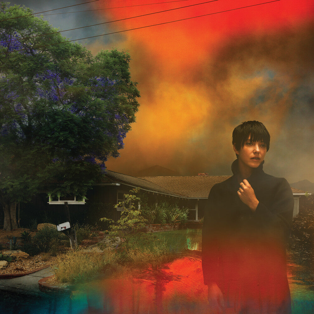 the album cover for Sharon Van Etten - We've Been Going About This All Wrong [Marbled Smoke LP]