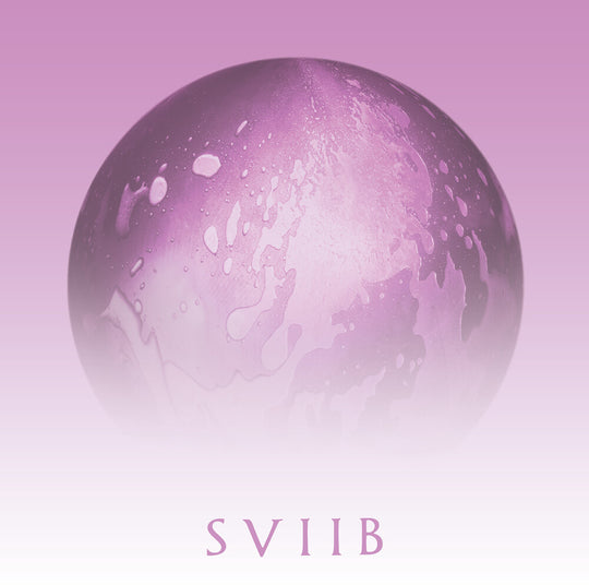 the album cover for School Of Seven Bells - Sviib [Limited Edition]