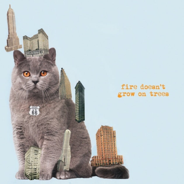 the album cover for Brian Jonestown Massacre - Fire Doesn't Grow On Trees