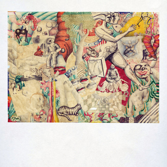 the album cover for Teen Suicide - Honeybee Table At The Butterfly Feast [Mustard Yellow LP]