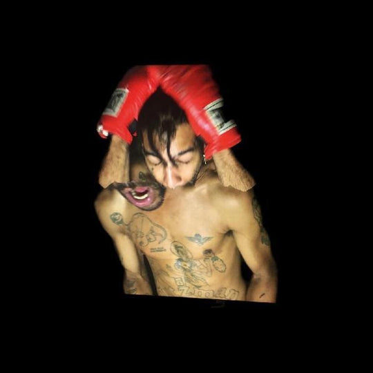 the album cover for Velvet Negroni - Bulli [LP]