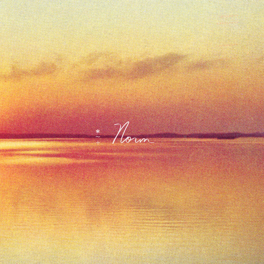 the album cover for Andy Shauf - Norm [LP]