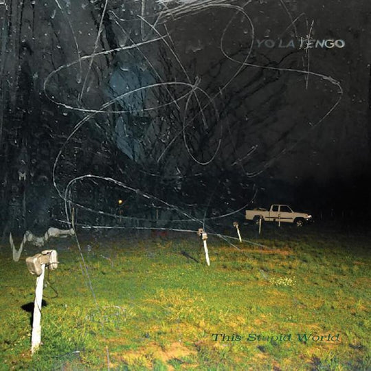 the album cover for Yo La Tengo - This Stupid World [2LP]