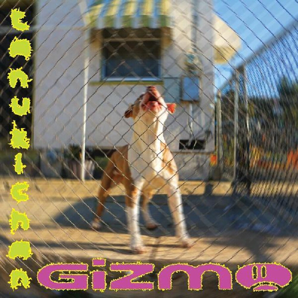 the album cover for Tanukichan - Gizmo [LP]