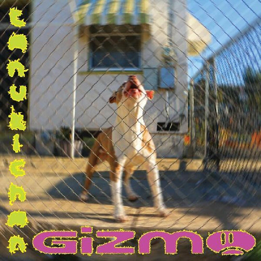 the album cover for Tanukichan - Gizmo [LP]