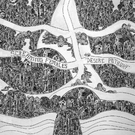 the album cover for Screaming Females - Desire Pathway [LP]