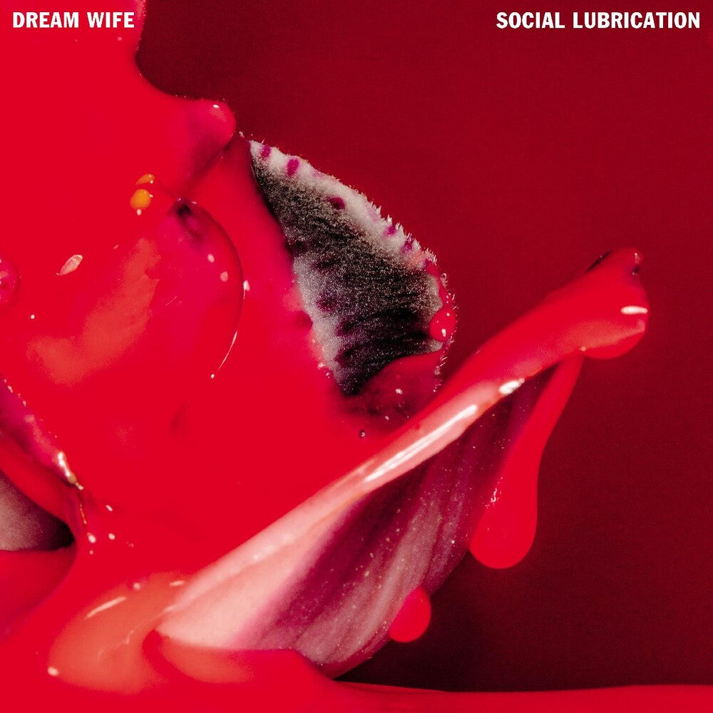 the album cover for Dream Wife - Social Lubrication [Indie Exclusive Limited Edition Deluxe Red & Black LP]
