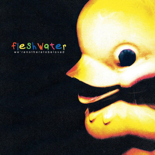 the album cover for Fleshwater - We're Not Here To Be Loved