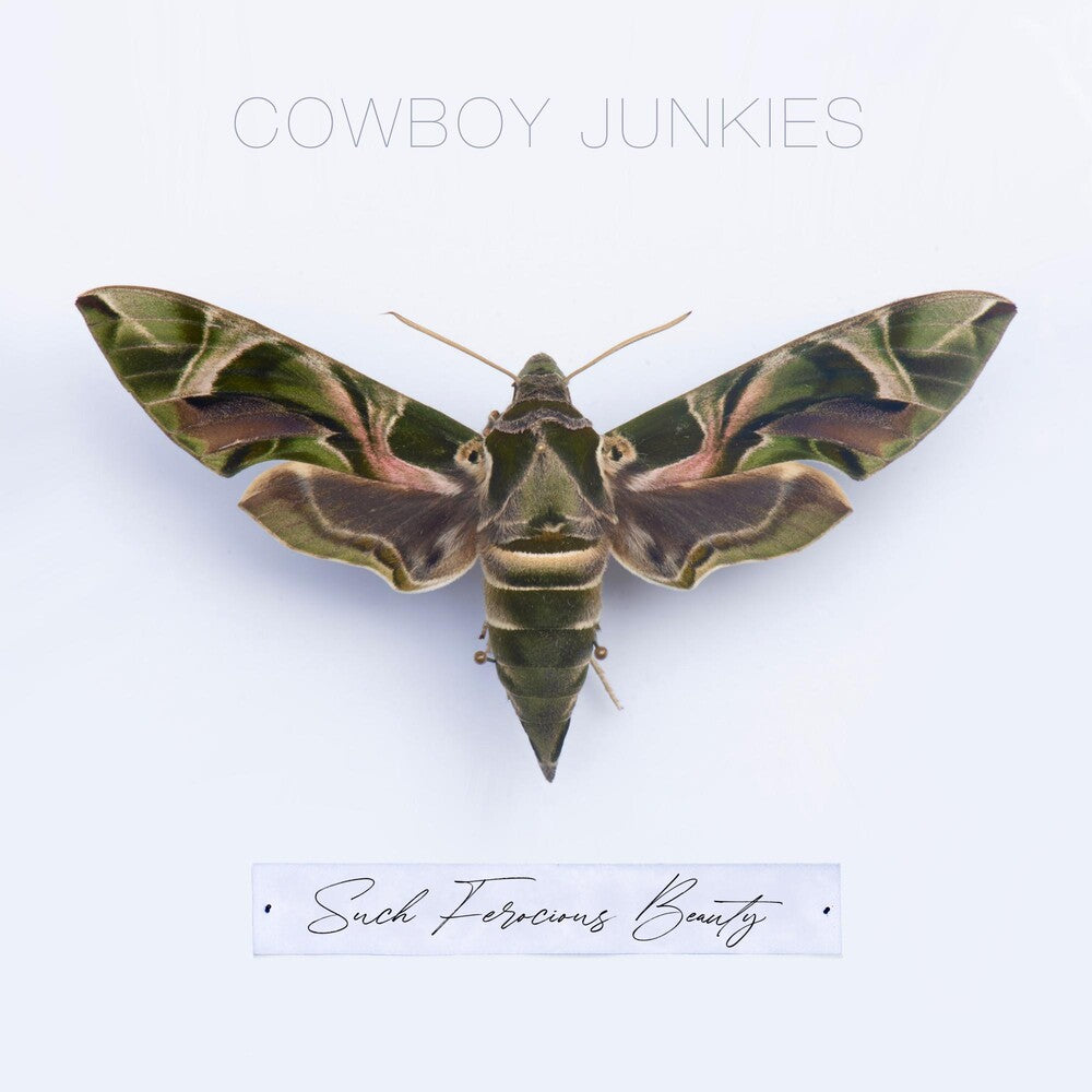 the album cover for Cowboy Junkies - Such Ferocious Beauty [Limited Edition Translucent Green LP]