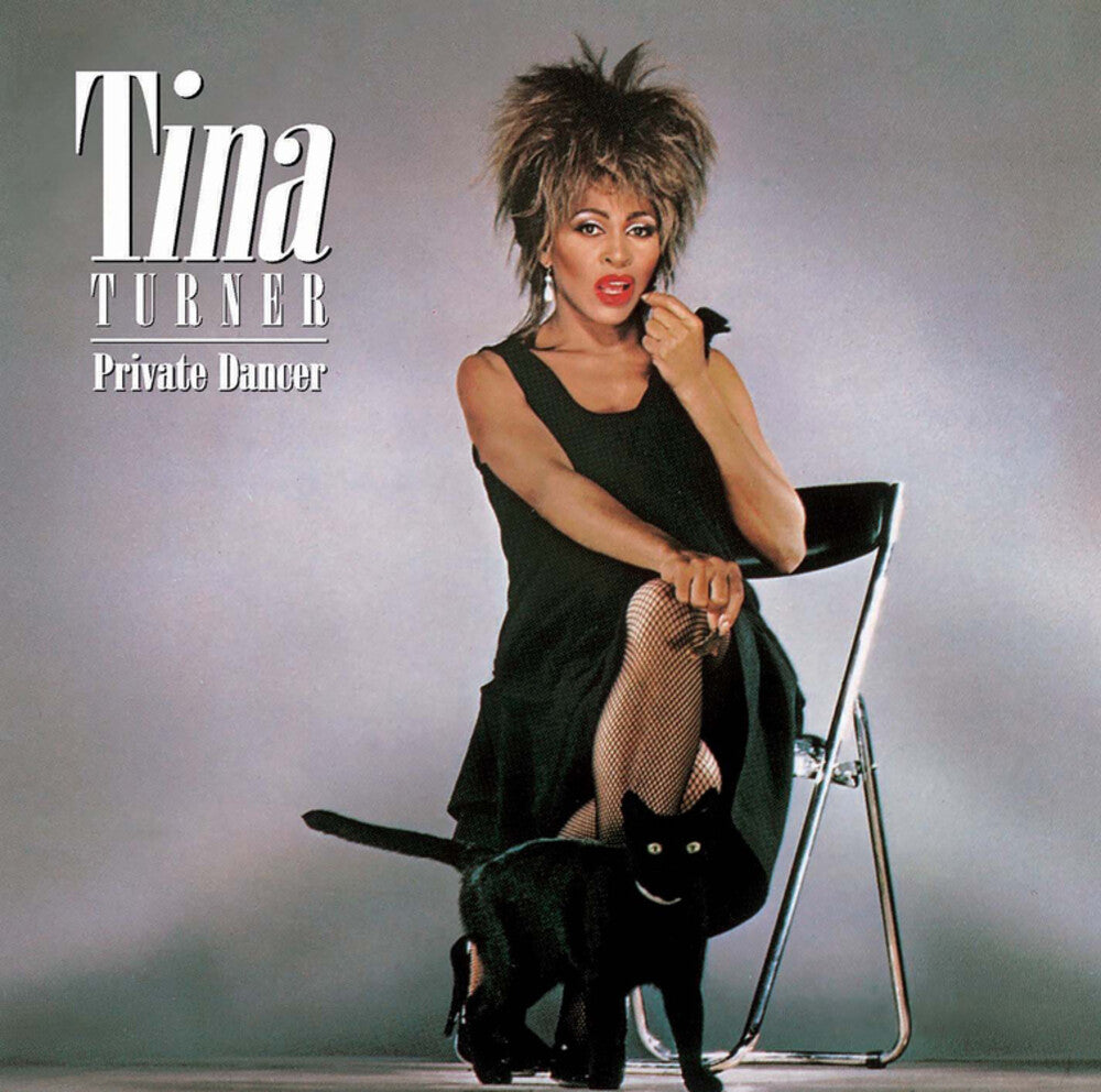 the album cover for Tina Turner - Private Dancer