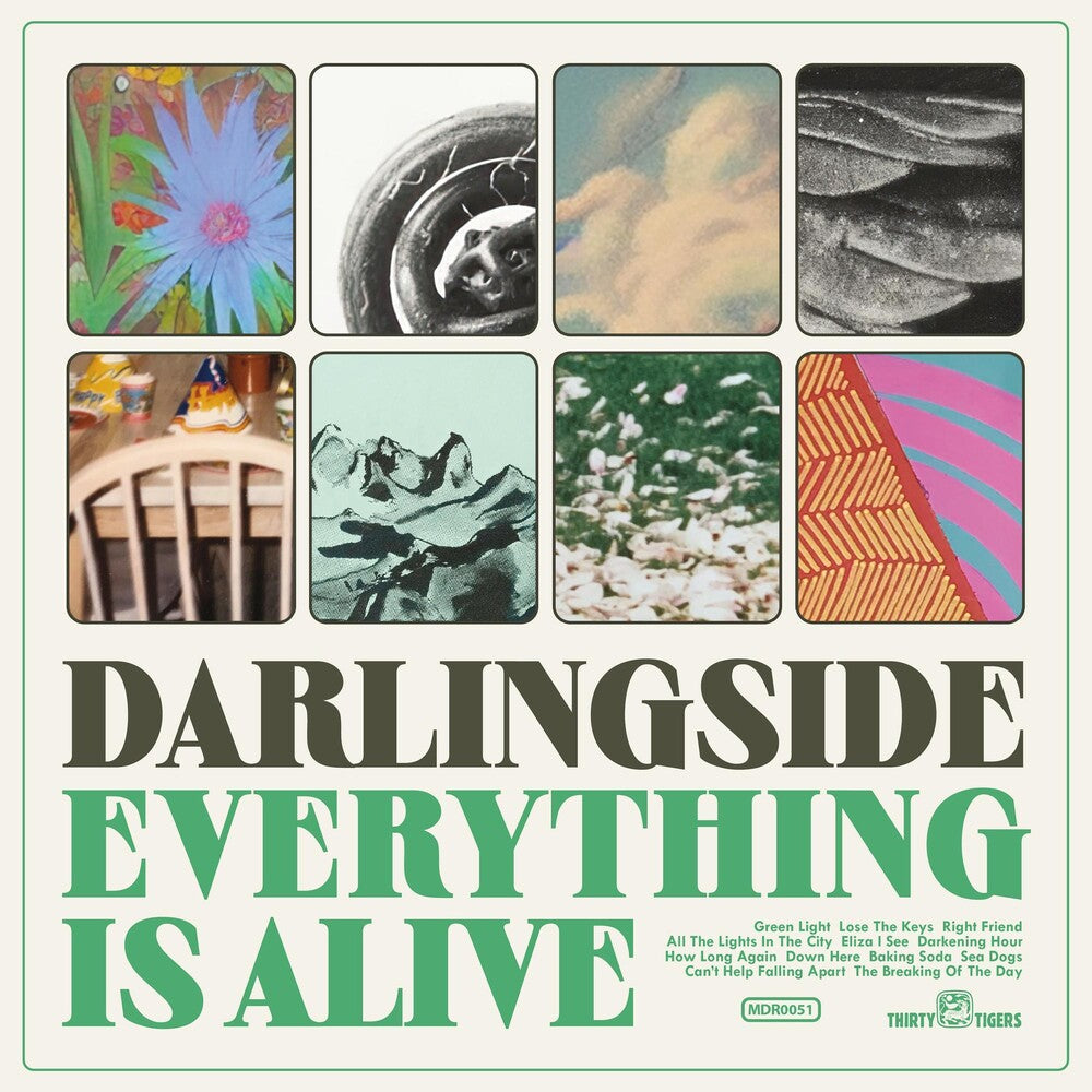 the album cover for Darlingside - Everything Is Alive [LP]