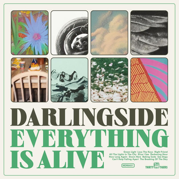 the album cover for Darlingside - Everything Is Alive [LP]