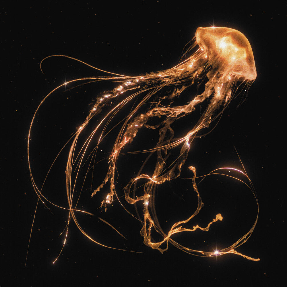 the album cover for Royal Blood - Back To The Water Below [LP]