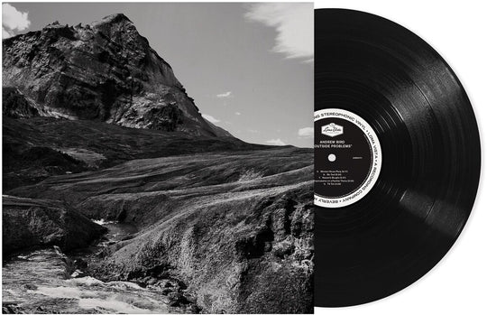 the album cover for Andrew Bird - Outside Problems [LP]