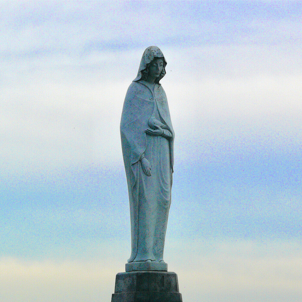 the album cover for Dead Poet Society - Fission - Silver [Colored Vinyl] (Slv)