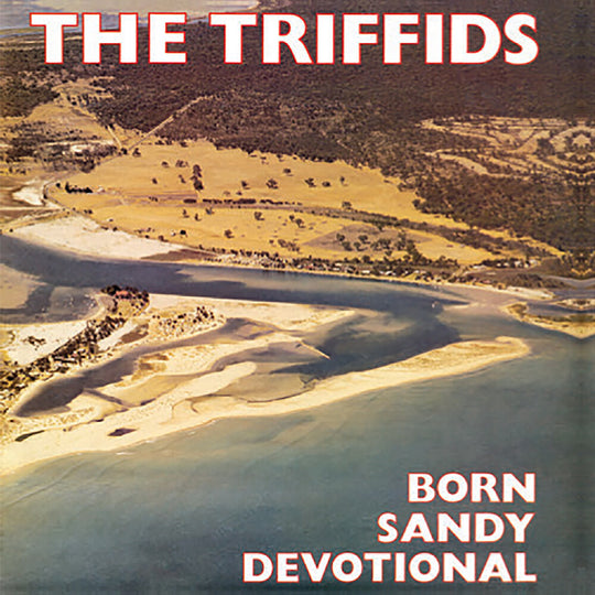 the album cover for The Triffids - Born Sandy Devotional