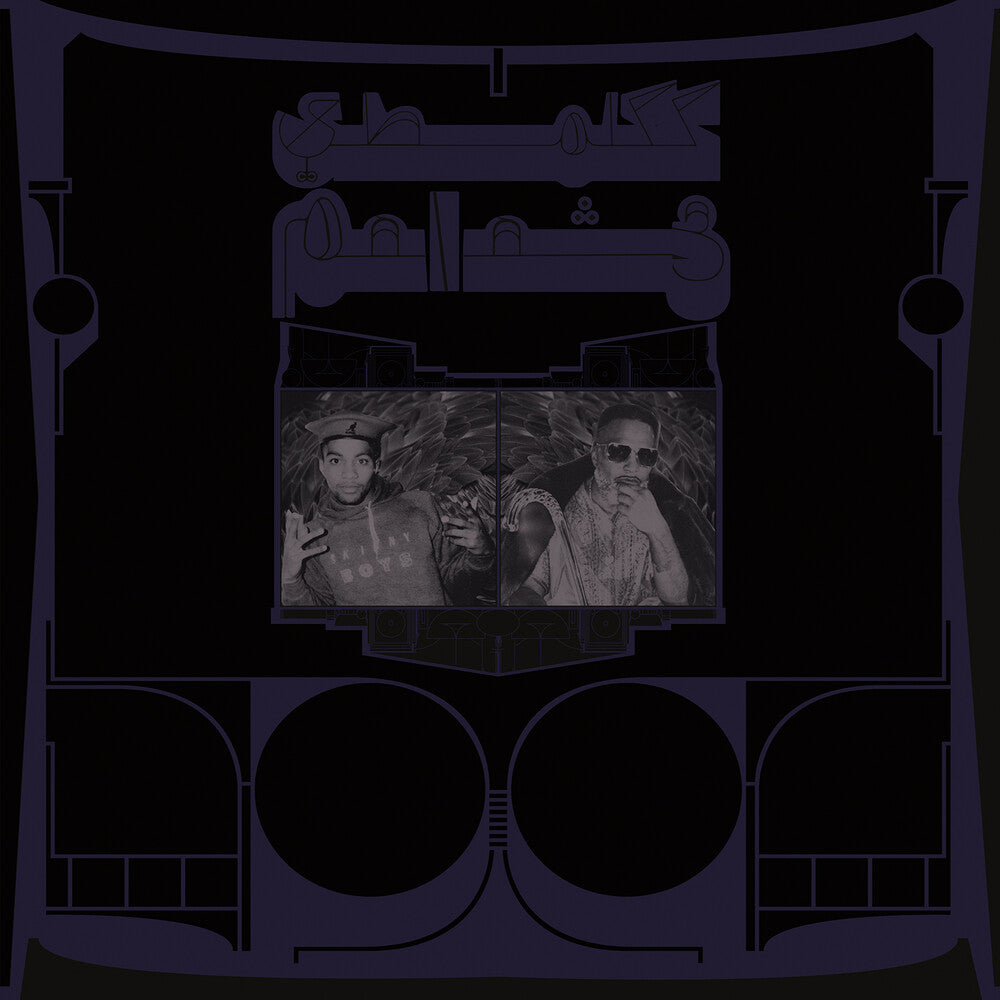 the album cover for Shabazz Palaces - Exotic Birds Of Prey [Translucent White LP]