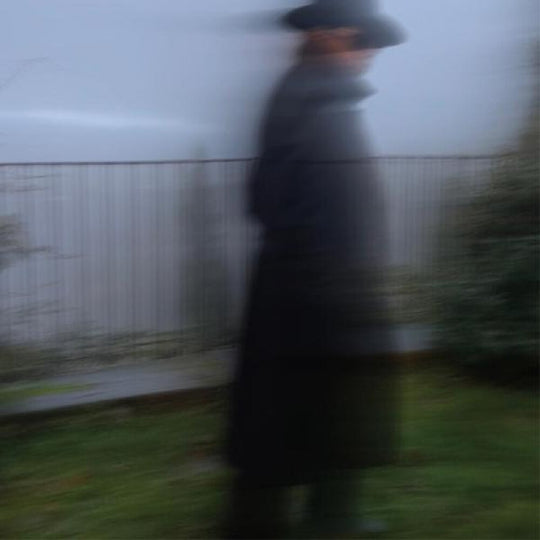 the album cover for Alejandro Escovedo - Echo Dancing [Gold 2LP]