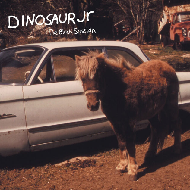 the album cover for Dinosaur Jr. - Black Session: Live In Paris 1993