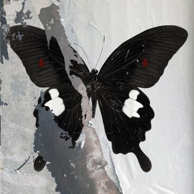 the album cover for Death Cult - Paradise Now [Clear Vinyl] (Spla)